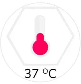 BODY TEMPERATURE ADD ON: - SEX LOVE DOLLS