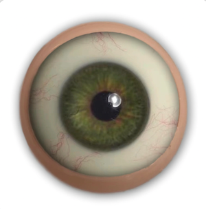 EYE DETAILS / COLORS: - SEX LOVE DOLLS