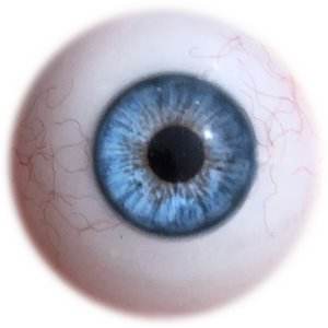 EYE DETAILS: - SEX LOVE DOLLS