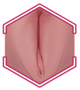 LABIA COLOR - SEX LOVE DOLLS