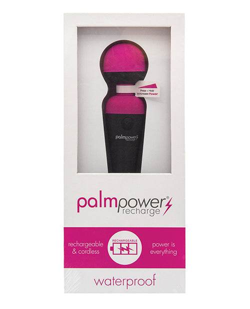 Palm Power Rechargeable Massager - SEX LOVE DOLLS