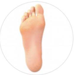 SELECT FEET TYPE - SEX LOVE DOLLS