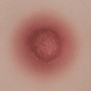 SELECT NIPPLE COLOR - SEX LOVE DOLLS