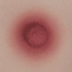 SELECT NIPPLE COLOR - SEX LOVE DOLLS