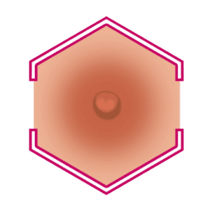 SELECT NIPPLE WIDTH - SEX LOVE DOLLS