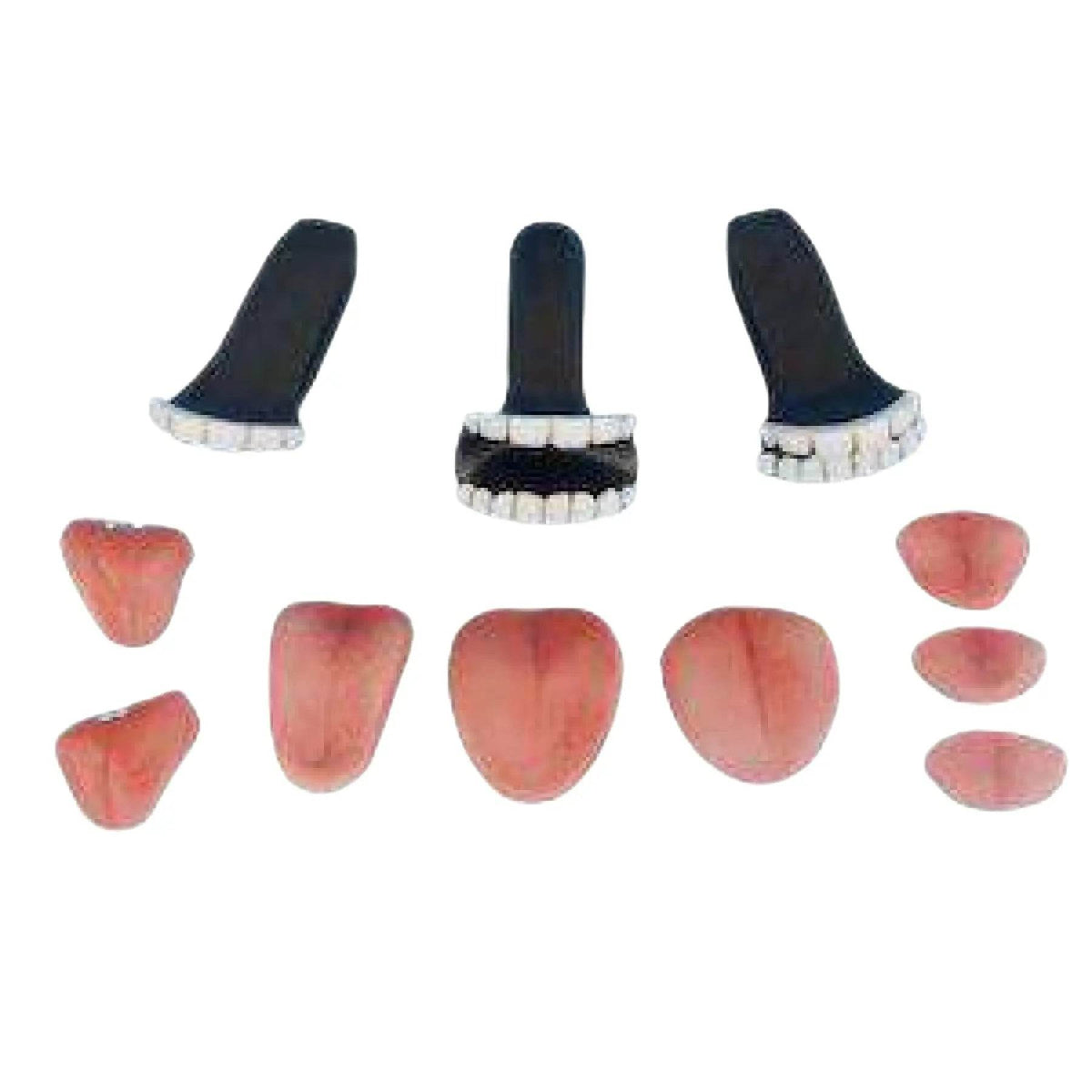 Sex Doll Teeth & Tongue Kit - SEX LOVE DOLLS