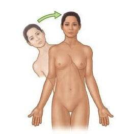 SKELETON UPGRADES - SEX LOVE DOLLS