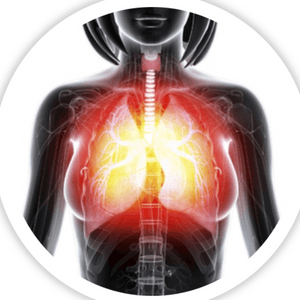 SKELETON UPGRADES - SEX LOVE DOLLS