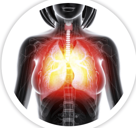 SKELETON UPGRADES: - SEX LOVE DOLLS